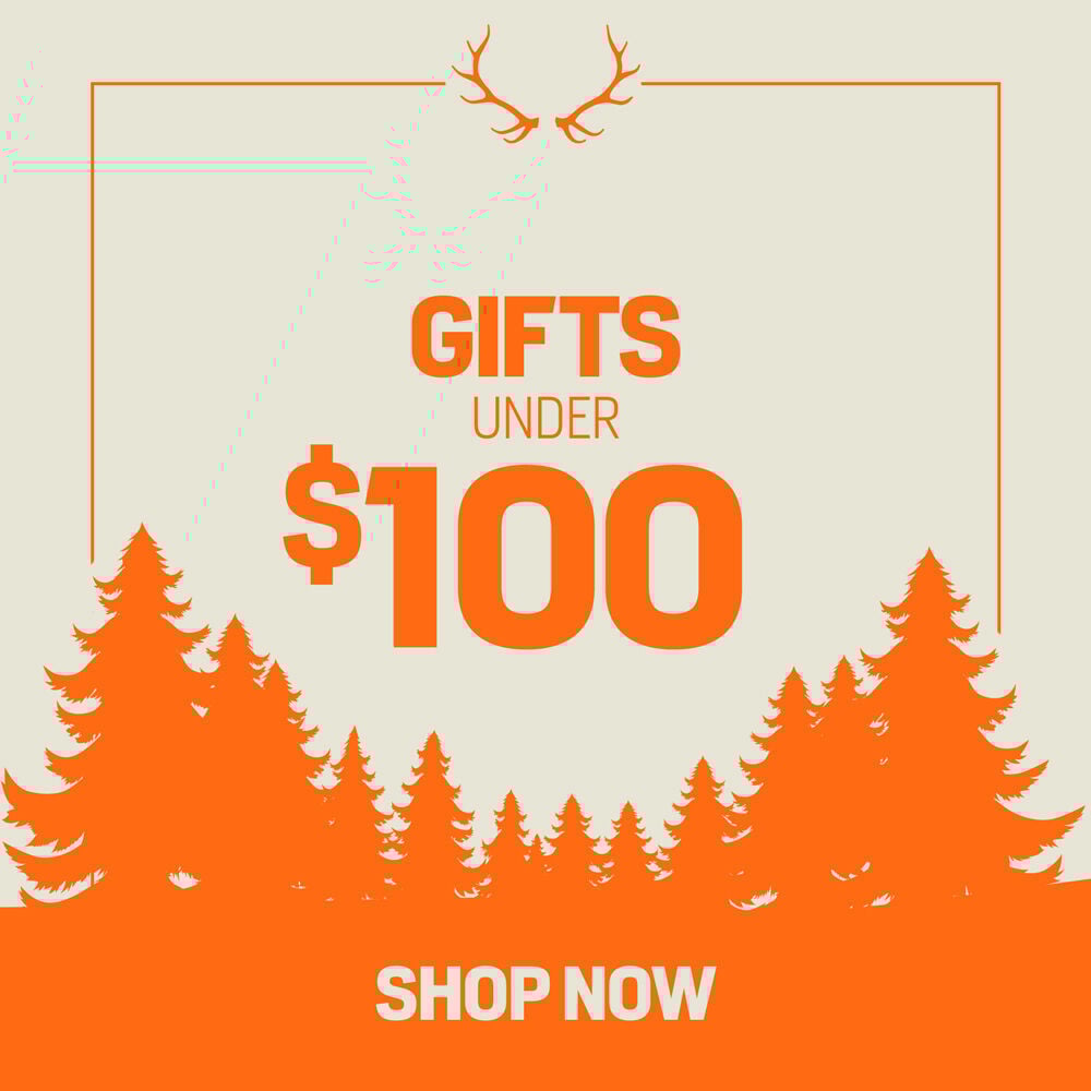 Gifts Under $100